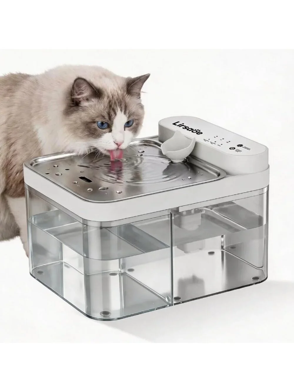 Filterless Cat Water Fountain with Wastewater Separation - Fresh Pet Hydration